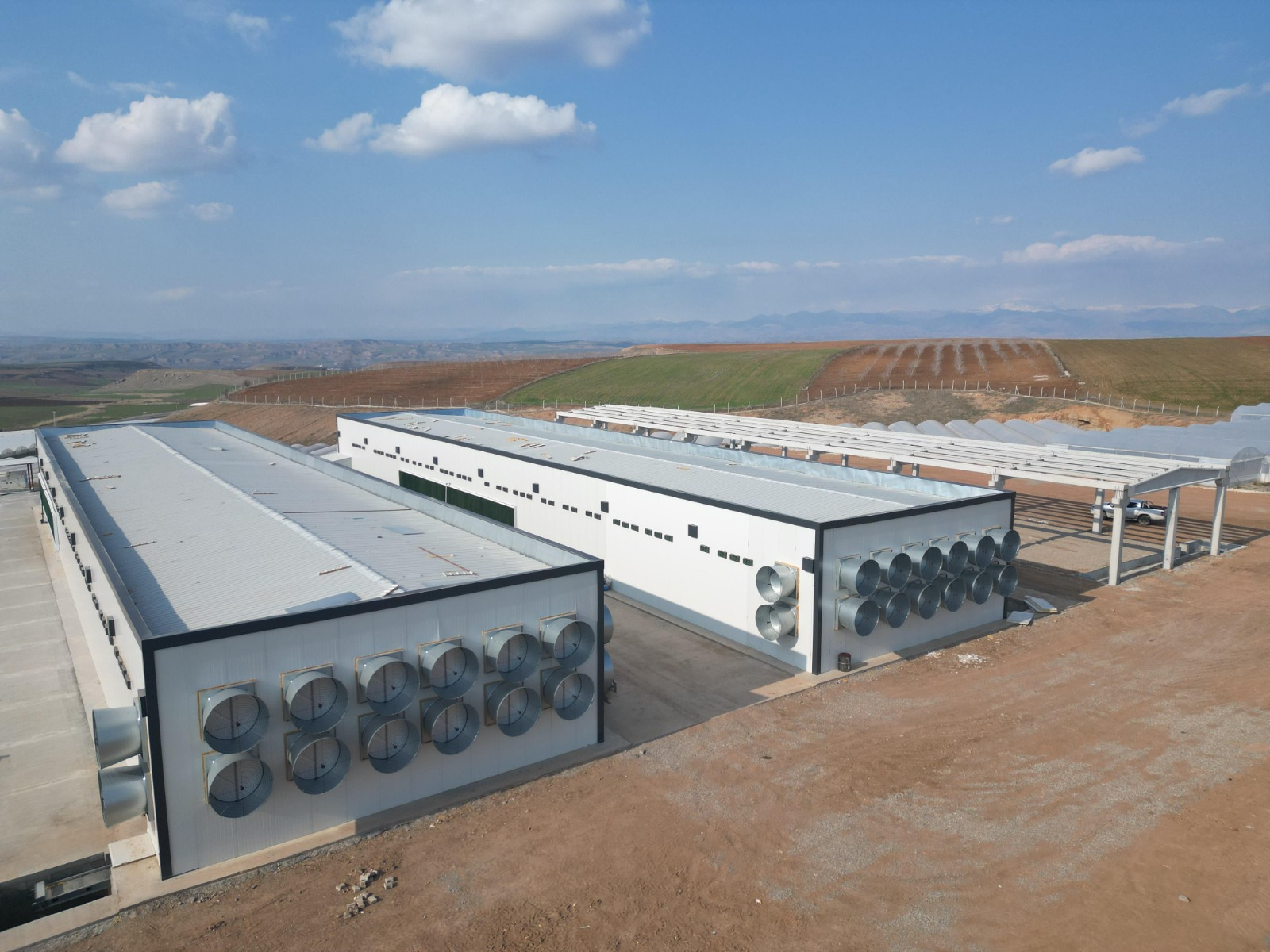 Batman’da Şah-Mar, 150 Bin Tavukla Doğal Yumurta Üretecek