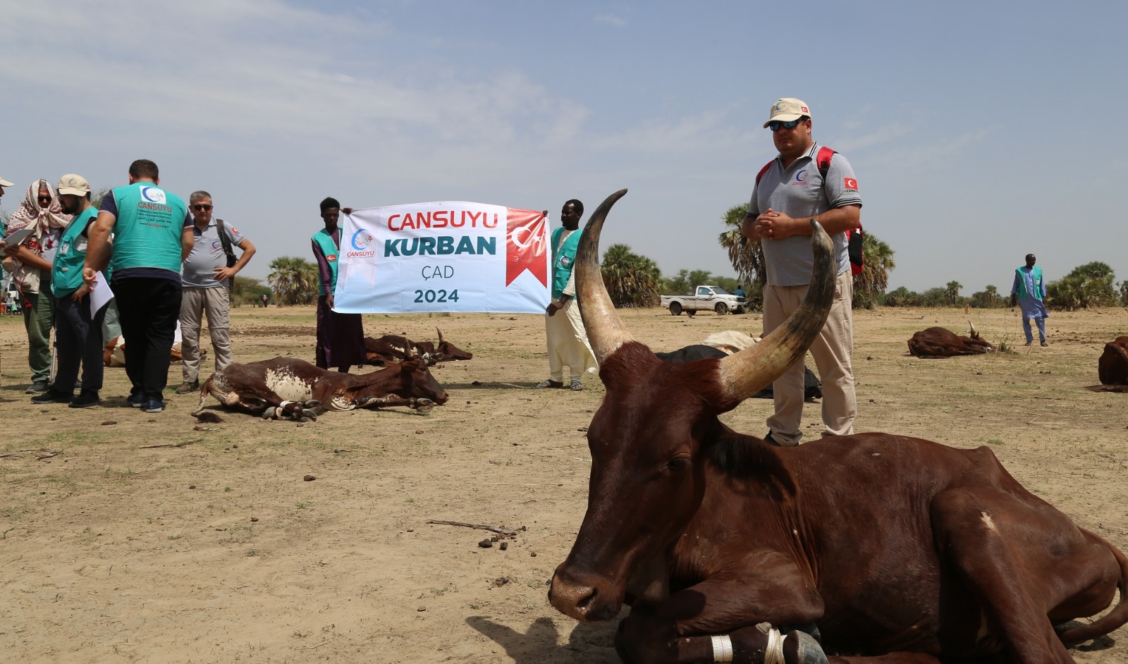 Cansuyu Derneği 2025 Kurban Hisse Fiyatlarını Açıkladı