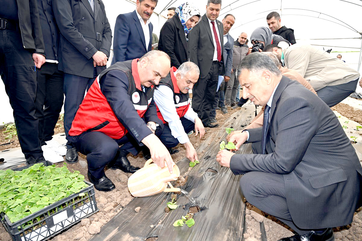 Balpınar’da 31 Yeni Sera Kuruldu