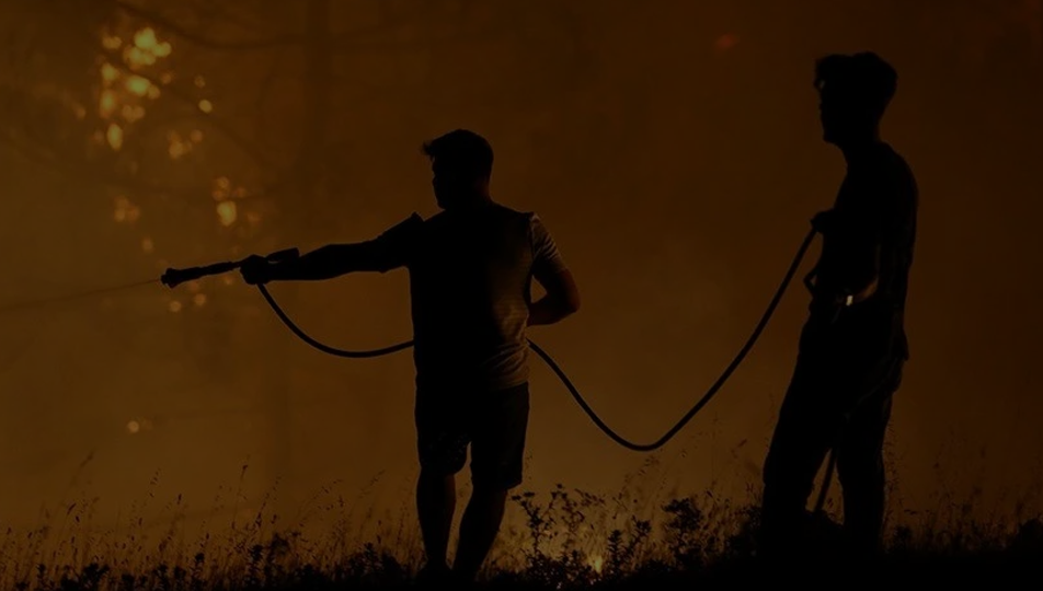 Orman yangınlarıyla ilgili 21 kişi tutuklandı