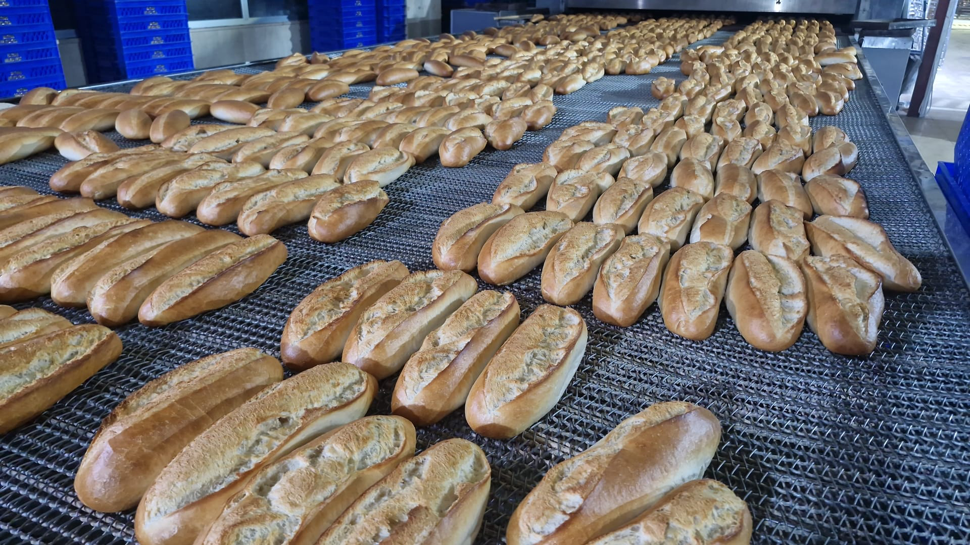 Batman’da 30 Milyondan Fazla Ekmek Ücretsiz Dağıtıldı