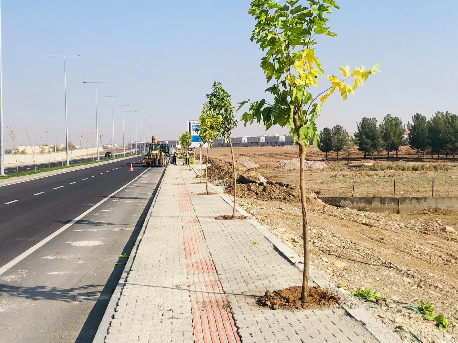 Recep Tayyip Erdoğan Bulvarına 550 Ağaç Dikiliyor