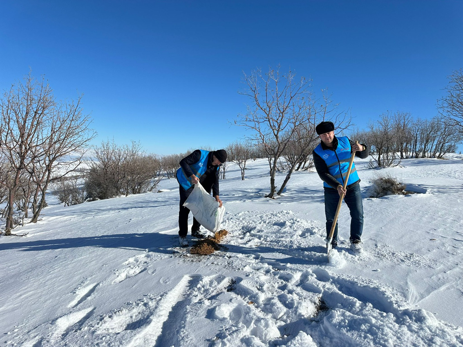 Kış Şartlarında Yaban Hayatını Yalnız Bırakmadılar